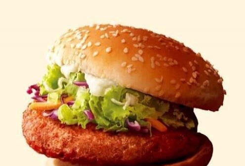 九游会- 汉堡体育总监透露夏窗策略，重点引进东欧潜力新星  